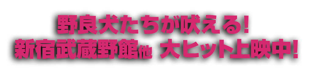 ８．１（SAT）野良犬たちが吠える！
新宿武蔵野館他　全国順次公開！
